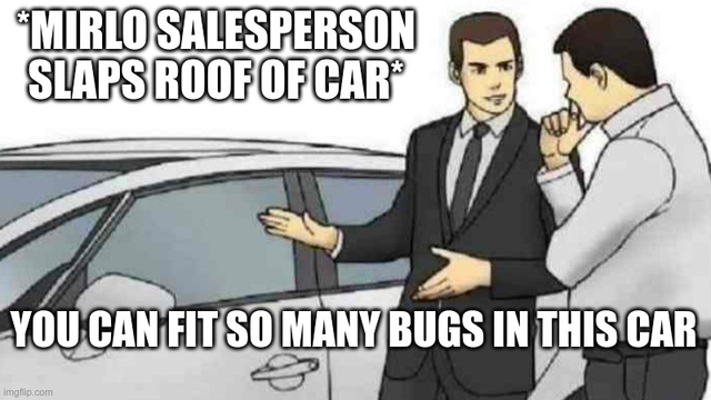 A picture of a sales person showing a car, text says "MIrlo salesperson slaps roof of car: you can fit so many bugs in this"