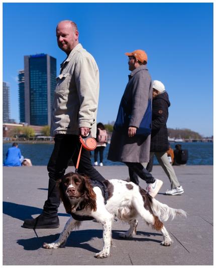 A person walking a dog