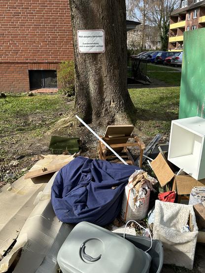 Ein Grasbereich ist mit verschiedenen Gegenständen überfüllt, darunter ein blauer Sitzsack, Pappkartons, ein Stuhl und ein Container. Ein großer Baum in der Nähe hat ein Schild mit der Aufschrift "Müll abladen verboten!" Darauf hinweisen, dass Müll entsorgt werden darf,