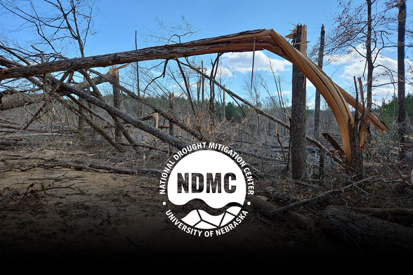 The 2025 Plantersville tornado, which struck near Plantersville, Alabama, on March 16, 2025, snapped a large hardwood tree. National Weather Service Birmingham, Alabama, Public domain, via Wikimedia Commons