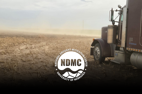 Dust fills a cornfield in Wallace County, Kansas, on March 28, 2025. Photo submitted via Condition Monitoring Observer Reports.