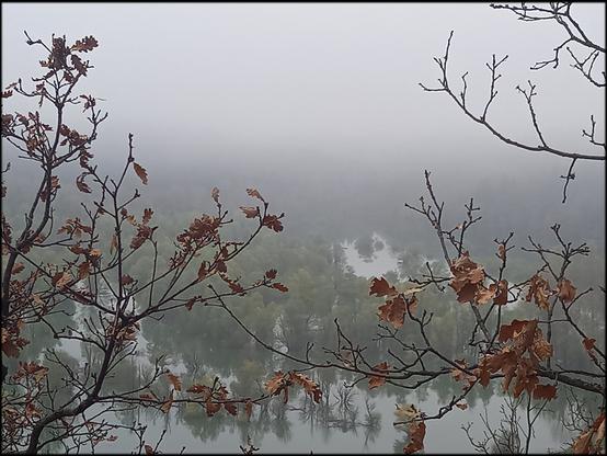 Paysage de montagne.
Au premier plan quelques branches de jeunes chênes avec leurs feuilles d'hiver encore non tombées.
En arrière plan, vu en plongée un paysage d'arbres les pieds dans l'eau d'un lac s'étendant jusque dans les lointains perdus dans un épais brouillard