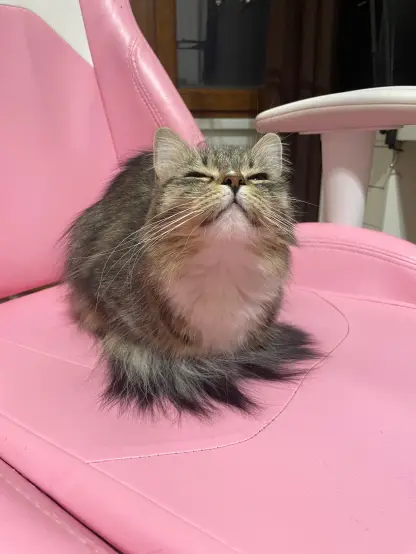 Now here eyes are closed, she looks very happy