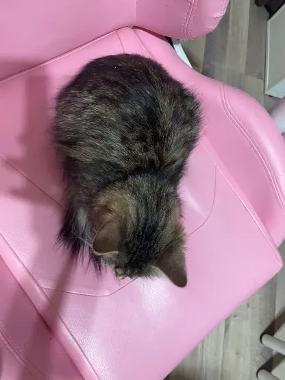 A view of nova from above, showing that she indeed is a loaf