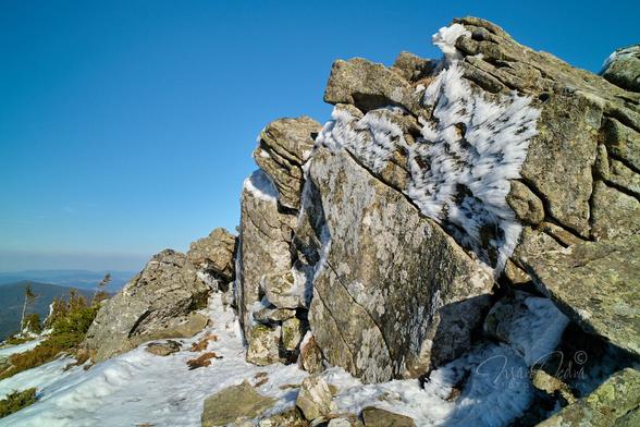 The photo shows a group of cracked rocks on Babia Góra Mountain. The rocks occupy more than half of the lower right corner of the photograph. The rest of the photo is an intensely blue, cloudless sky. To the left of the rocks, in the lower left corner, you can see several small, wind-beaten spruce trees, and behind them, forested mountains. In the foreground, just below the rocks, there is still snow. In the upper part of the rocks you can see interesting white ice formations, created by strong winds.