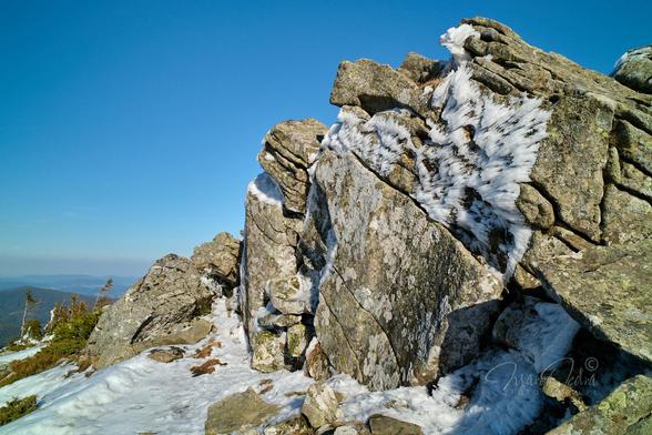 The photo shows a group of cracked rocks on Babia Góra Mountain. The rocks occupy more than half of the lower right corner of the photograph. The rest of the photo is an intensely blue, cloudless sky. To the left of the rocks, in the lower left corner, you can see several small, wind-beaten spruce trees, and behind them, forested mountains. In the foreground, just below the rocks, there is still snow. In the upper part of the rocks you can see interesting white ice formations, created by strong winds.