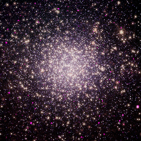 Visual Description from source in toot: 
This release features a composite image of a globular cluster, a sphere-shaped collection of stars bound together by gravity. In this conglomeration are eleven spider pulsars, which obliterate their companion stars with strong winds of particles.

In the main image of this release, scores of tiny white stars dot the blackness of space, many appearing to glow with a white or hot pink aura. Like other globular clusters, this conglomeration, named Omega Centauri, is more densely packed near the center.