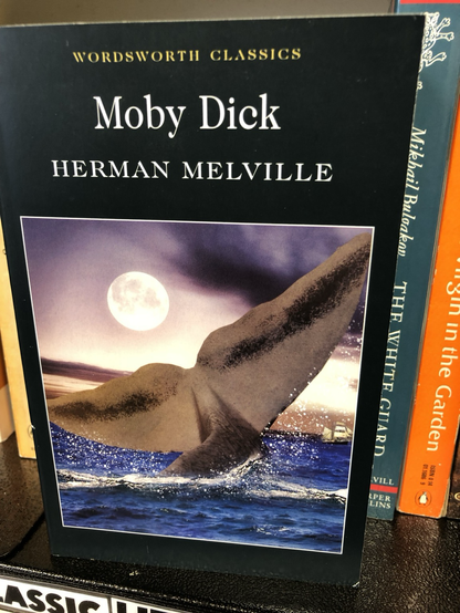 This Moby Dick cover is just a big whale fin