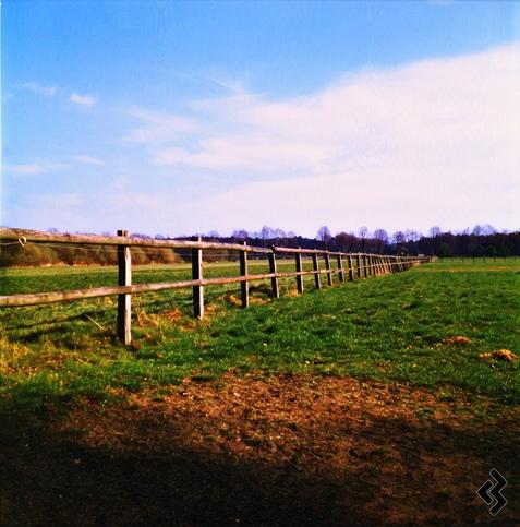 A wide, open field of green grass under a bright blue sky with scattered clouds. A weathered wooden fence runs diagonally from the foreground to the horizon. In the background, a line of bare trees marks the edge of the field.