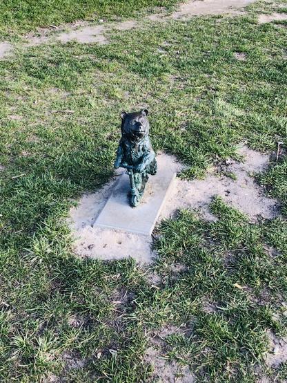 Miś Uczeń - trawnik przy SP nr 383, ul. Warszawska, róg ul. Orląt Lwowskich;