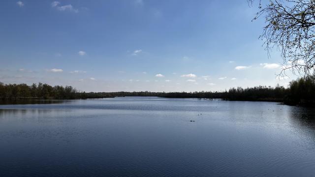 Ein See, blauer Himmel, ein paar Wasservögel