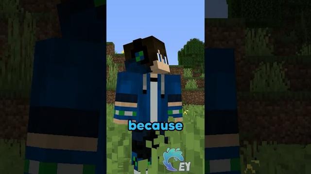 Minecraft, But You Can’t Say Colors…