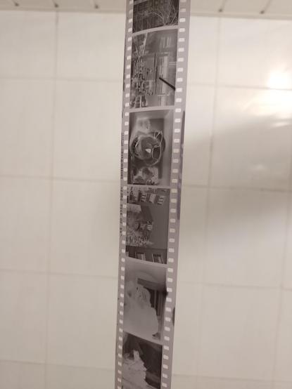 A photo of black and white film negatives. The background is entirely composed of bathroom tiles