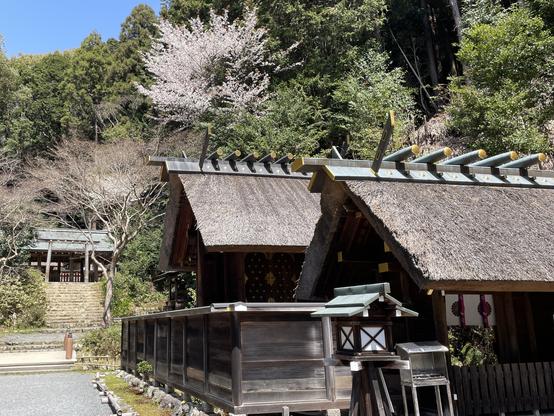 Himukai Daijingū