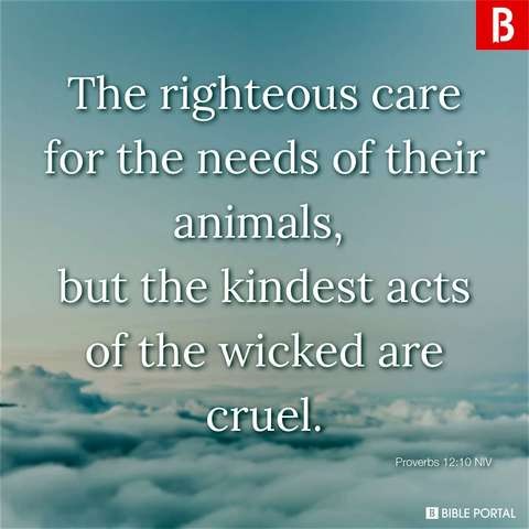 The righteous care for the needs of their animals, but the kindest acts of the wicked are cruel. Proverbs 12:10

Background is blue sky with clouds along the bottom (as if taken from an airplane); text is white