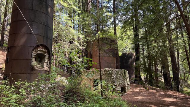 Giant long abandoned kilns sit eerily in the forest.