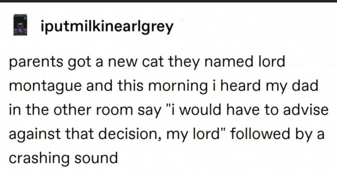 ``parents got a new cat they named lord montague and this morning i heard my dad in the other room say "i would have to advise against that decision my lord" followed by a crashing sound``