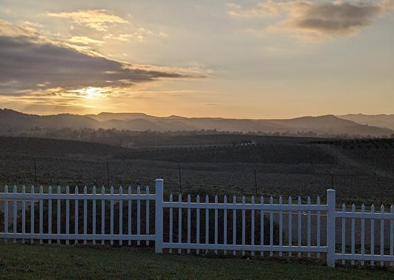 A sunset photo from a vineyard in San Luis Obispo California USA