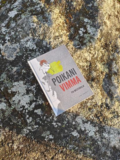 Kuvassa Poikani Vimma -sarjakuva kuvattuna kalliolla.