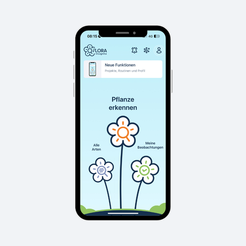 Ein modelliertes Smartphone mit dem Startbildschirm der Flora-Incognita-App