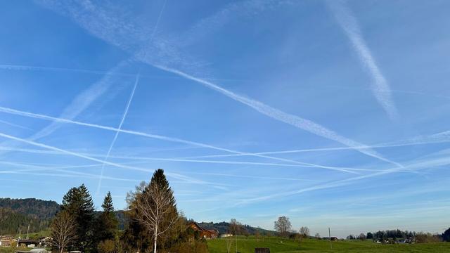 Blue sky with multiple criss-crossing white jet contrails over a bit of green farmland with a few trees