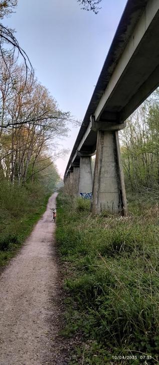 Une bicyclette est dans le chemin qui longe le rail ancien de l'aérotrain dans la forêt