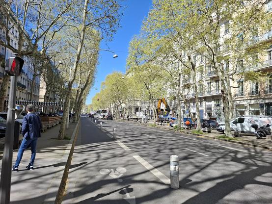 Cours Franklin Roosevelt, Lyon 6e composé d'immeubles cachés par des arbres taillés au carré, sur l'axe central deux coronapistes pérennisées encadrent deux voies voitures.