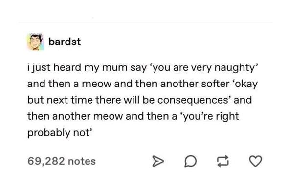 bardst posted: 

"i just heard my mum say ‘you are very naughty’ and then a meow and then another softer ‘okay but next time there will be consequences’ and then another meow and then a ‘you’re right probably not’"

The post has 69,282 notes. There are icons for sharing, commenting, and liking.