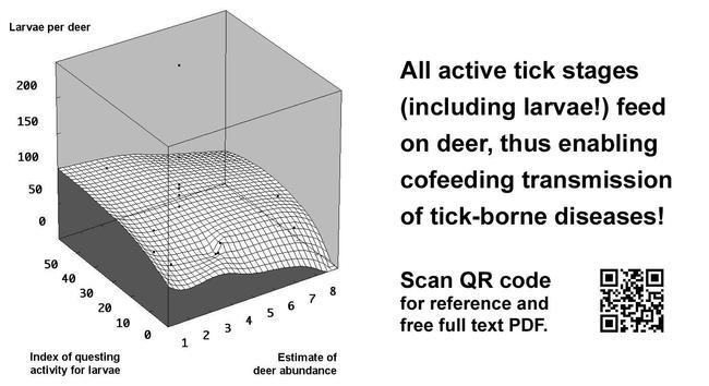 Infestation of larval ticks (Ixodes ricinus) on roe deer (Capreolus capreolus) in Germany. Data from the EU FP6 EDEN Project.