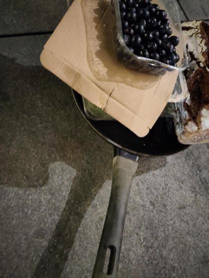 Pfanne mit Salaten, Heidelbeeren, nem Brot und ein Stück Pappe
