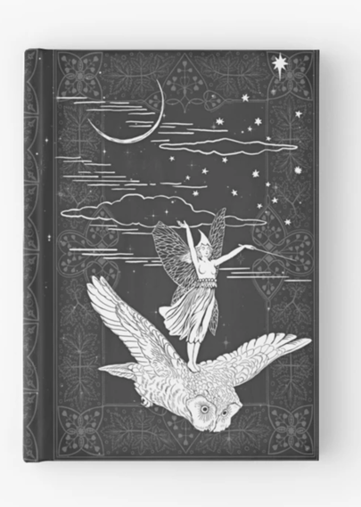 Book cover, grey, a fairy wielding a wand, riding an owl.