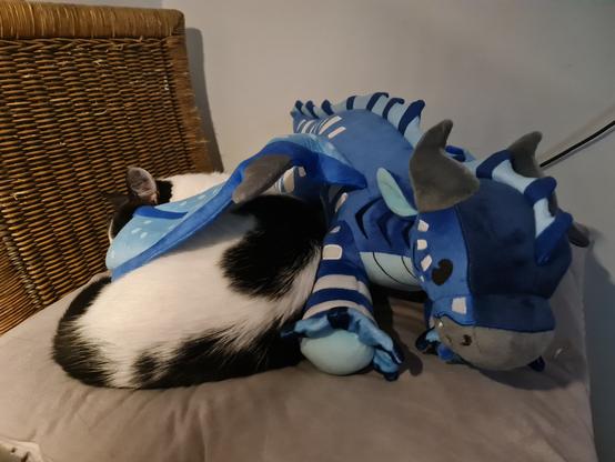 photo of my cat Puddie curled up under a plushie's wing