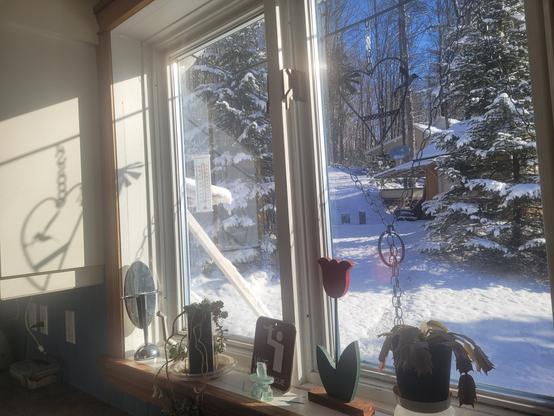 C'est une photo. Nous regardons par une fenêtre de cuisine au dessus du comptoir. Le soleil plombe sur un paysage d'hiver à l'extérieur. Il y a de la neige sur deux gros conifères devant nous. Au fond il y a la forêt. On voit l'ombre d'un perchoir d'oiseaux sur l'armoire à l'intérieur. Sur le bord de la fenêtre il y a 2 plantes ainsi qune tulipe en bois et d'autres objets décoratifs. On voit très peu les chaînes qui perdent devant la fenêtre pour empêcher les oiseaux de s'y frapper.
