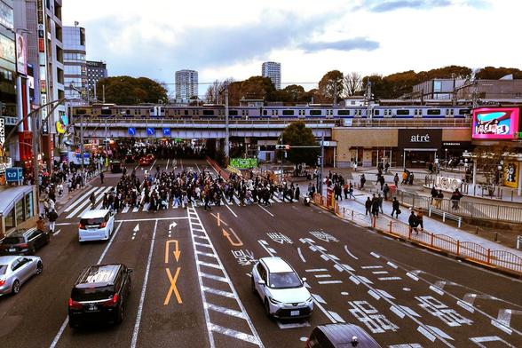Shot taken from a pedestrian bridge that runs parallel to the elevated tracks in the back where a Jōban line commuter train is pulling out of the station. There is a busy multi-lane road running perpendicular with commercial buildings on the left. There is a crosswalk full of people. A bit of green from Ueno Park is in the background. The sky is overcast.