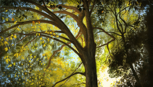 A digital painting of sun shining through a tree canopy, seen from below, with blue sky beyond. The whole scene is filled with leaves in various dark and light greens, yellows, and occasional autumnal oranges. There is one, large central tree with thick branches, almost silhouetted, but warm light bounces off its higher branches.