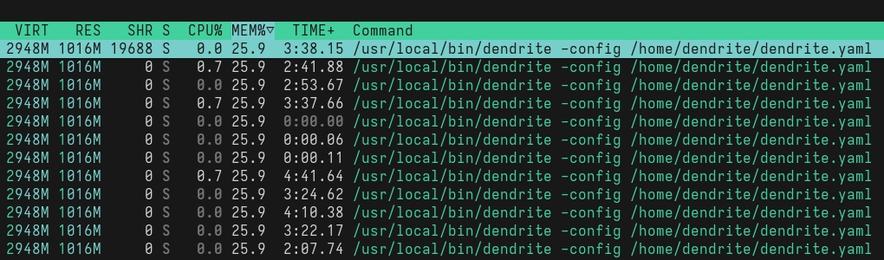 Screenshot from htop, processes are sorted by memory usage percentage, there are 12 lines at the top of the list, each with "/usr/local/bin/dendrite …" in the command column and "1016M" in the resident memory column