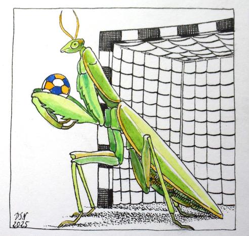 Eine leuchtend grüne Gottesanbeterin steht vor ihrem Handballtor, während sie einen blau-gelb-weiß gemusterten Handball zwischen den Vorderfängen hält.