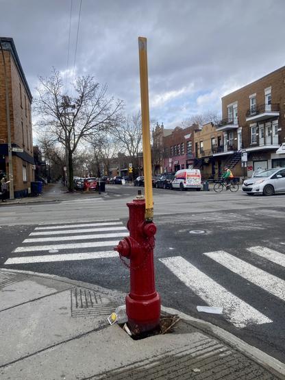 Hydrant with its winter snow locator.