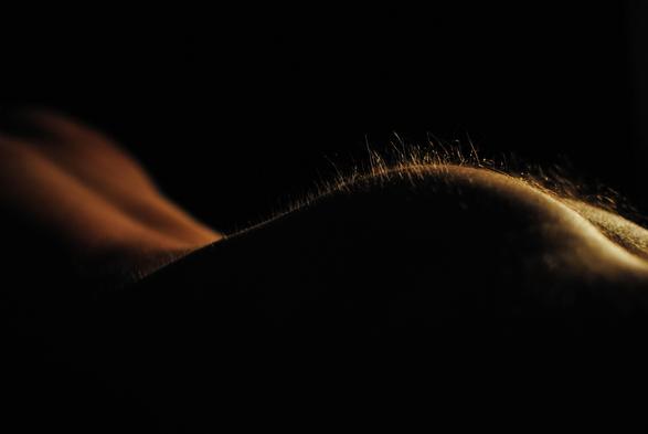 This image appears to be a close-up of a surface with fine hairs, likely a part of human skin. The lighting creates a dramatic effect with shadows and highlights.