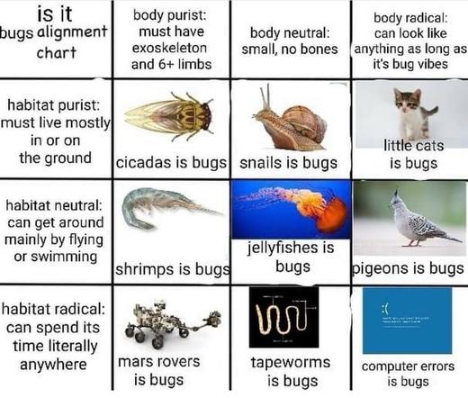 "Is it bugs alignment chart"

COLUMNS
［Body Purist］ Must have exoskeleton 6+ limbs.
［Body Neutral］ Small, no bones.
［Body Radical］ Can look like anything as long as it's bug vibes.

ROWS
［Habitat Purist］ Must live mostly in or on the ground.
［Habitat Neutral］ Can get around mainly by flying or swimming.
［Habitat Radical］ Can spend its time literally anywhere.

VALUES
• [Body Purist] + [Habitat Purist] = cicadas is bugs.
• [Body Neutral] + [Habitat Purist] = Snails is bugs.
• [Body Radical] + [Habitat Purist] = Little cats is bugs.
• [Body Purist] + [Habitat Neutral] = Shrimps is bugs.
• [Body Neutral] + [Habitat Neutral] = Jellyfishes is bugs.
• [Body Radical] + [Habitat Neutral] = Pigeons is bugs.
• [Body Purist] + [Habitat Radical] = Mars rovers is bugs.
• [Body Neutral] + [Habitat Radical] = Tapeworms is bugs.
• [Body Radical] + [Habitat Radical] = Computer errors is bugs.