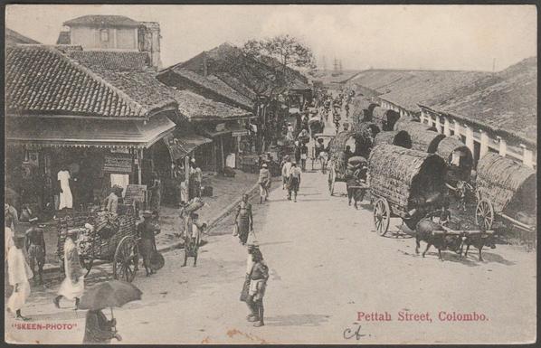 Printed monochrome postcard showing an animated street scene on Pettah Street in Colombo, Ceylon.

Published by Skeen-Photo, not numbered, c.1910.

Postally unused.

Very good condition, with very slight corner bumps.