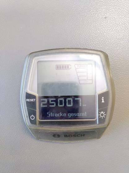 Odometer reading 25007 km