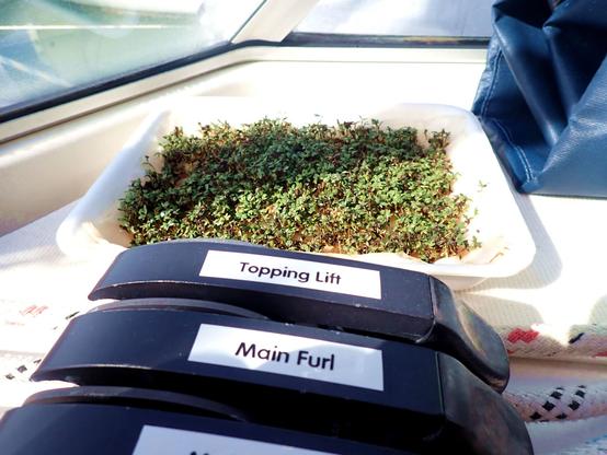 A tray of green garden cress sprouting under the windscreen of a boat next to some rope clutches.