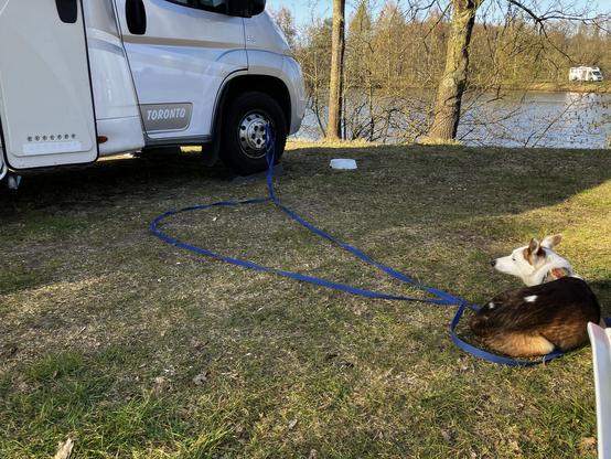 Stellplatz mit WoMo am See. Socke liegt auf der Wiese neben dem Wohnmobil