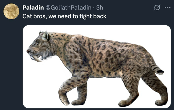 (Saber tooth tiger)  Paladin @GoliathPaladin • 3h Cat bros, we need to fight back
