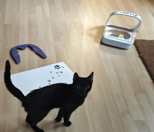 Photograph of a black kitten with a pet mat as well as a Surefeed cat feeder and a 3D-printed front cover lying in the background.