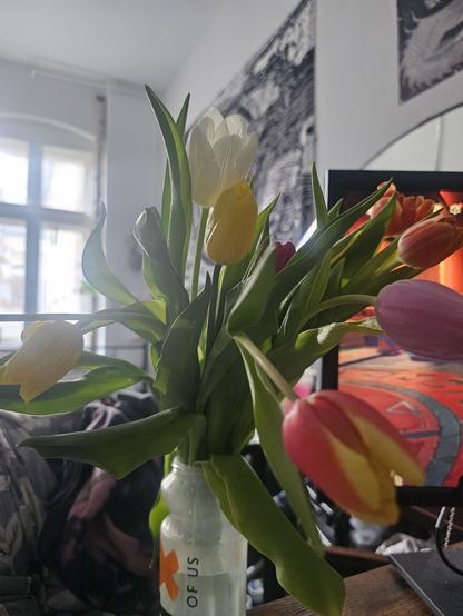 Foto von gelben, gelbroten, rosa & weißen Tulpen in einer Trinkflasche. Links im Hintergrund verschwommen ein Fenster durch das Tageslicht hineinfließt. Ebenso verschwommen rechts unten eine Decke und eine Jacke. Rechts hinter den Blumen ein Bildschirm mit einem Spiel. Rechts im Hintergrund an der Wand ein abstraktes Tuch in schwarz weiß.