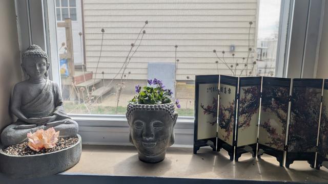 The violet plant is now potted in the Buddha head planter and sits on a windowsill. It’s surrounded by a small statue of a meditating Buddha holding a lotus flower and a miniature Japanese-style folding screen with cherry blossom artwork. Soft light filters through the window screen behind them, creating a peaceful, Zen-like atmosphere.