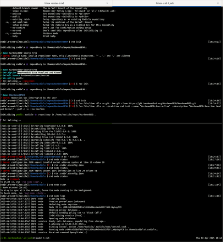 Screenshot of the terminal with:

1. a `rad init` of the HardenedBSD src tree up top;
2. The output of `rad node logs`