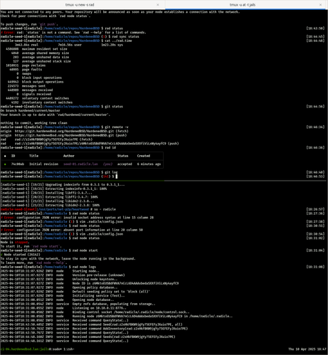 `rad init` completed successfully in just a matter of minutes.